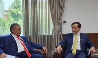 Việt Nam nhất trí thúc đẩy hợp tác với Indonesia và Brunei