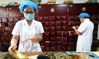 Việt Nam-Nhật Bản tăng cường hợp tác trong lĩnh vực y học cổ truyền