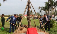 Phó Chủ tịch Quốc hội Trần Quang Phương thăm và làm việc tại Binh đoàn 12- Tổng Công ty xây dựng Trường Sơn
