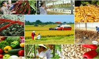 Xây dựng nền nông nghiệp Việt Nam phát triển nhanh, bền vững, đảm vững chắc an ninh lương thực quốc gia