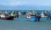 Thúc đẩy các giải pháp chống khai thác hải sản bất hợp pháp