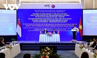 Thủ tướng Phạm Minh Chính và Thủ tướng Lý Hiển Long đối thoại với lãnh đạo trẻ Việt Nam – Singapore