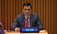 Việt Nam đảm bảo tuân thủ mạnh mẽ các nguyên tắc pháp quyền ở cấp độ quốc gia và quốc tế 