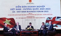 Diễn đàn doanh nghiệp Việt Nam - Anh: Nhiều cơ hội xuất khẩu và đầu tư giữa 2 nước