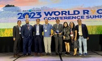 Gạo ST25 của Việt Nam lần thứ 2 thắng giải gạo ngon nhất thế giới 