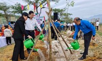 Phát động “Tết trồng cây đời đời nhớ ơn Chủ tịch Hồ Chí Minh”