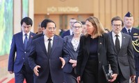 Thủ tướng Phạm Minh Chính tiếp Chủ tịch Thượng viện Australia, Sue Lines 