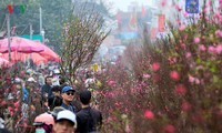 Chợ hoa Tết lớn nhất Hà Nội nhộn nhịp chiều 29 Tết