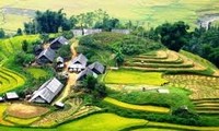 2011: Año de ascenso del turismo vietnamita