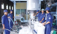 Gobierno vietnamita ayuda a la recuperación y el desarrollo de las empresas