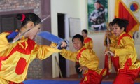 Disfrutar las artes marciales en Hue