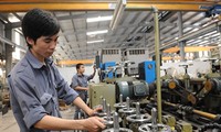 Gobierno vietnamita promueve medidas de apoyo a las empresas en dificultades