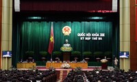 Diputados vietnamitas preocupados ante problemas socio-económicos candentes 