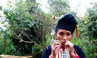 Luong Thi Vinh, una talentosa instrumentista del Noroeste de Vietnam