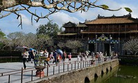 Vietnam, destino atractivo en 2013 según Operadores Turísticos de EEUU