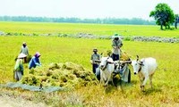 Destacan divulgación sobre agricultura y desarrollo rural en delta del Mekong