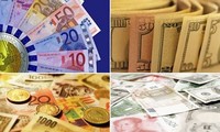 Remesas a Vietnam en 2012 suman 10 mil millones de dólares
