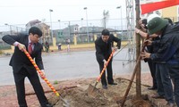 Promueven la siembra de árboles en localidades vietnamitas  