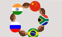 Los BRICS reúnen fuerzas para un mayor desempeño en el mundo