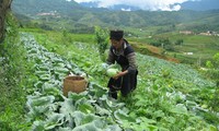 Bao Thang aplica el estatuto democrático en el fomento rural