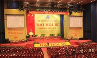 Dirigente partidista pondera aportes de la Asociación de agricultores vietnamitas