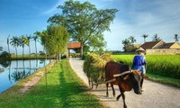 Vietnam vincula la edificación rural con el fomento cultural