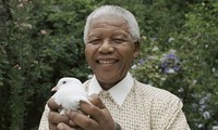 ONU honra a Nelson Mandela en su cumpleaños 95