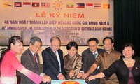Ciudad Ho Chi Minh conmemora aniversario 46 de fundación de ASEAN