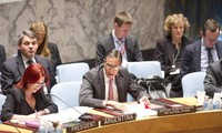 Consejo de Seguridad de la ONU analiza situación en Oriente Medio