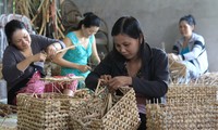Vietnam y España fomentan colaboración sobre equidad de género y empleo sostenible