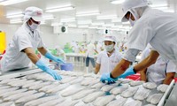 Critica abogado norteamericano impuesto antidumping a pescados vietnamitas