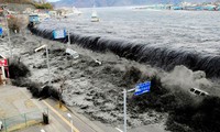Vietnam y Japón comparte experiencias en el enfrentamiento a desastres naturales