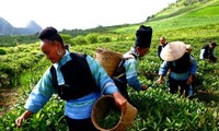 Banco Mundial: índice de pobreza vietnamita reducido al 38%