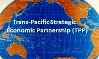 Oportunidades y desafíos de TPP para economía vietnamita