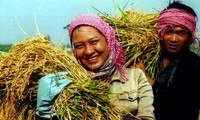 Mejoran producción agrícola para garantizar seguridad alimentaria