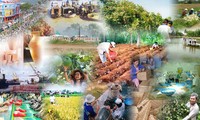 Destacan papel de organizaciones sociales en desarrollo socioeconómico en Vietnam y Cuba