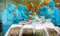 Más de seis mil millones de dólares en exportaciones acuíferas de Vietnam para 2013