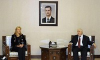 Avances en destrucción de armamentos químicos de Siria