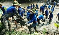 Jóvenes de Bac Ninh en la construcción del nuevo campo 