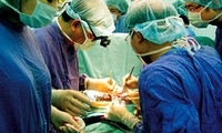 Vietnam promueve logros en trasplante de órganos humanos