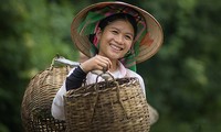 Hitos de la cultura vietnamita en 2013