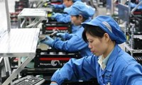 Señales alentadoras para la exportación laboral de Vietnam en 2014