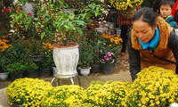 Mercado de flores regocijan a compatriotas de Lao Cai