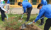 Vietnam promueve festival primaveral de siembra de árboles 
