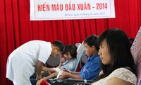 Inician Año juvenil voluntario 2014 en provincia sureña Lam Dong