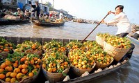 Esfuerzos de eliminación de pobreza en Delta del Río Mekong