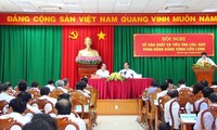 Reunión sobre consumo de arroz de delta de Mekong