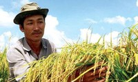Capacitarán fuerzas agrícolas en Ciudad Ho Chi Minh