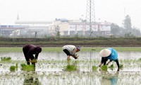 Vietnam aboga por mitigar los efectos del cambio climático