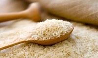 Elaboran una estrategia a largo plazo de producción de arroz exportable